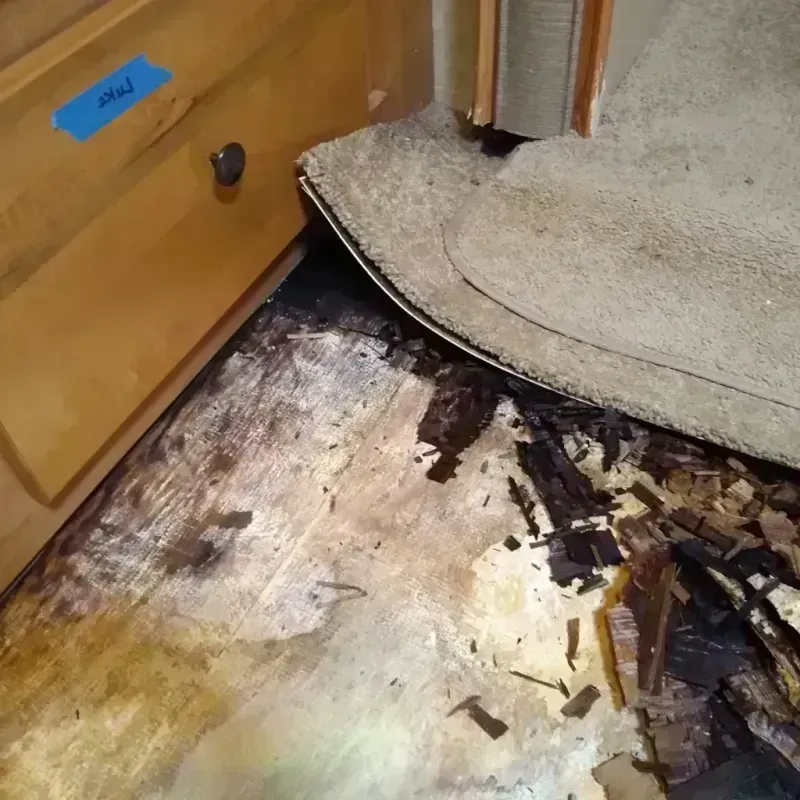 Best Wood Floor Water Damage Service in Troy, OH